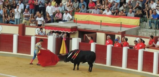 Indultado un toro de Daniel Ruiz lidiado por El Juli en tarde para la historia